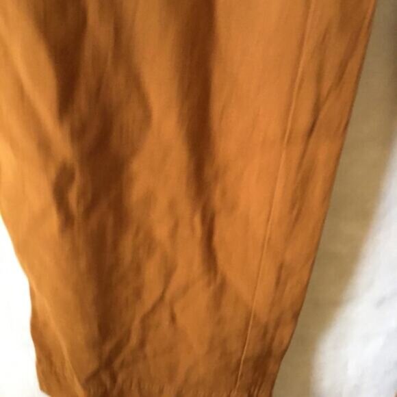 Madewell Gold Dunaway Paperbag Pants - Picture 6 of 14